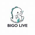 BIGO LIVE — registration, earnings, withdrawal of money