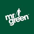 MrGreen – profitable bets on the online bookmaker’s website